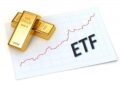 Lựa chọn các quỹ ETF uy tín và kiểm tra kỹ phí quản lý là điều cần thiết trước khi đầu tư vàng